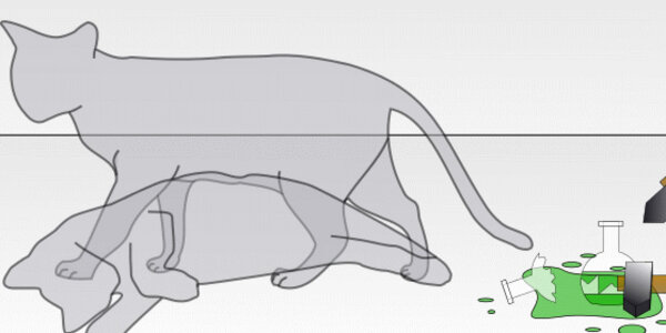 Article teaser image