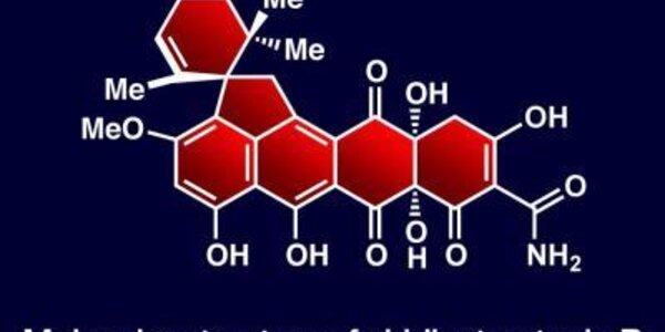 Article teaser image