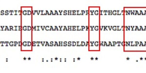 Article teaser image