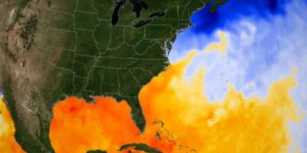 Article teaser image