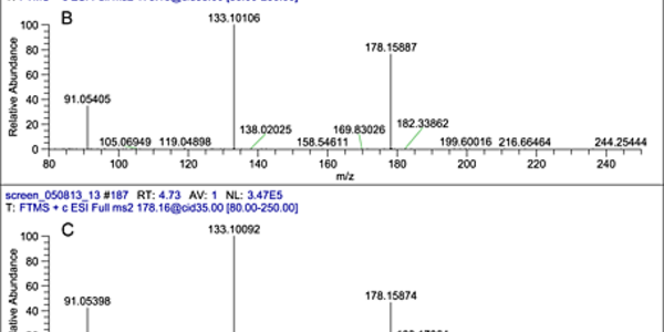 Article teaser image