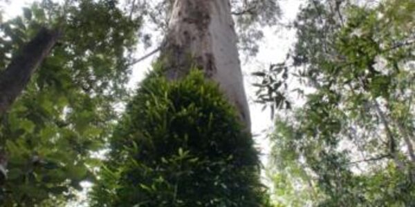 Article teaser image