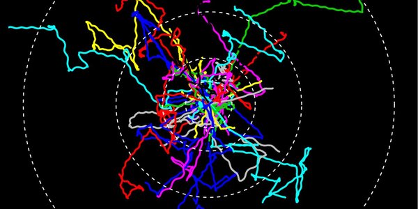 Article teaser image