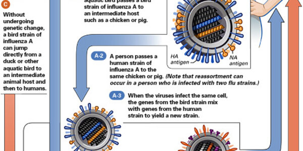 Article teaser image