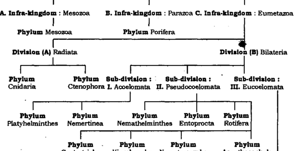 Article teaser image