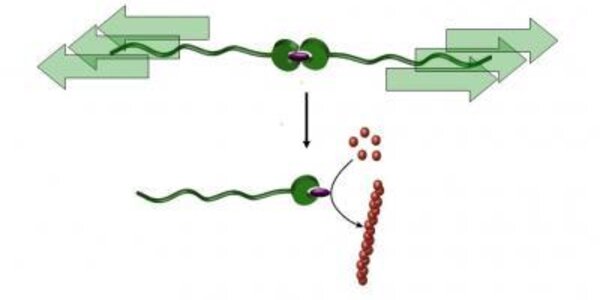 Article teaser image