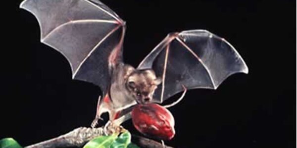 Article teaser image