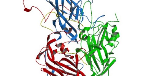 Article teaser image