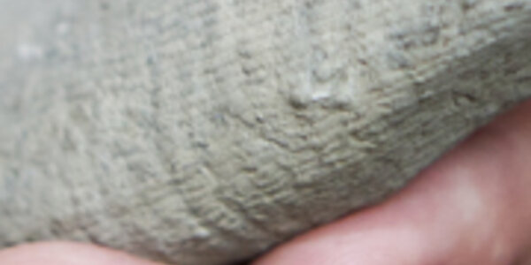 Article teaser image