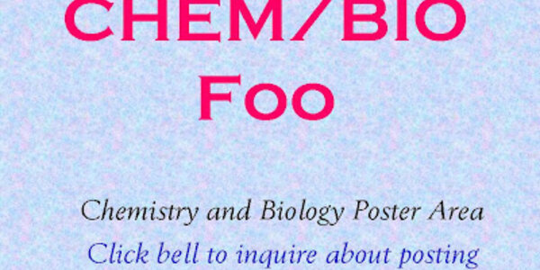 Article teaser image