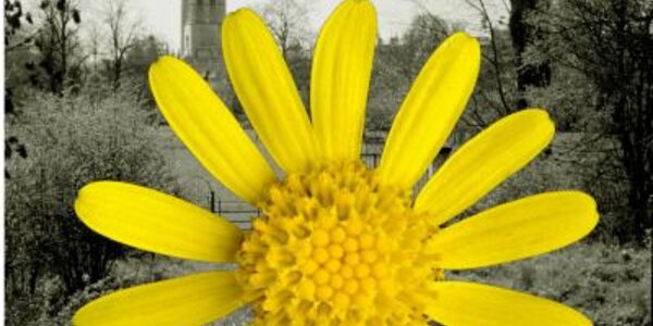 Article teaser image