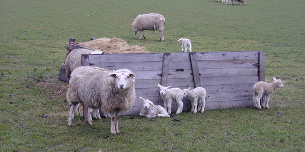 Article teaser image