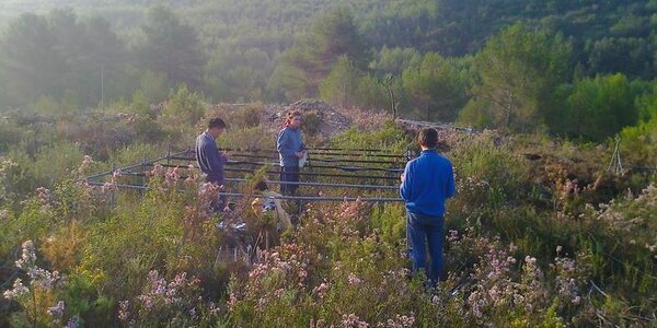 Article teaser image