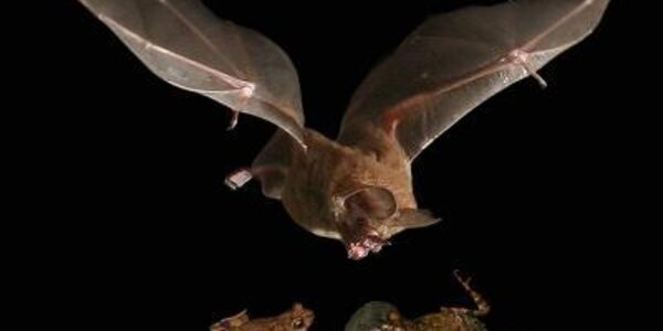 Article teaser image