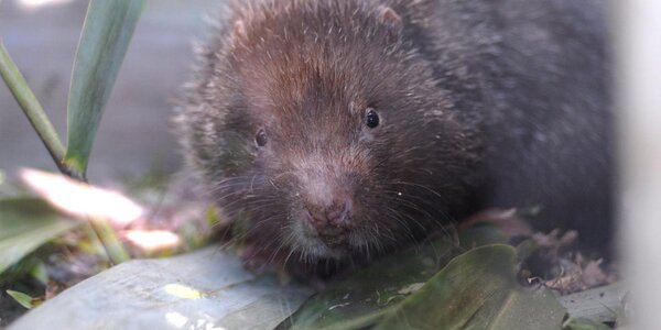 Article teaser image