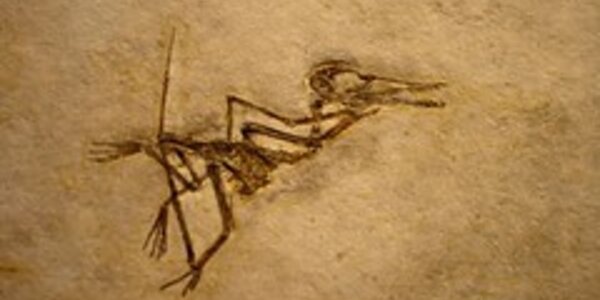 Article teaser image