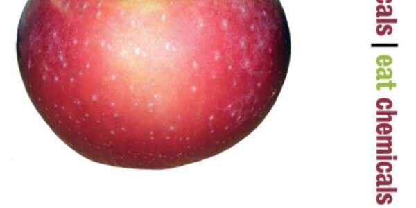 Article teaser image