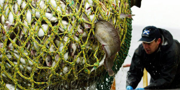 Article teaser image