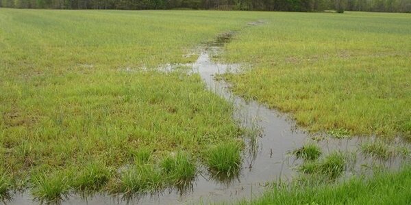 Article teaser image