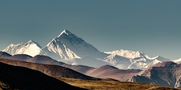 Article teaser image