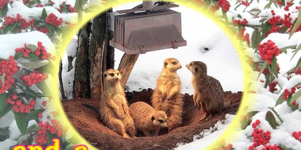 Article teaser image