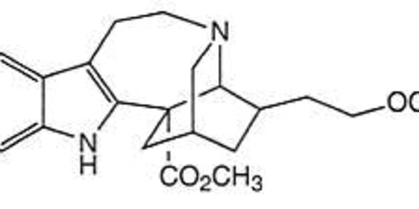 Article teaser image