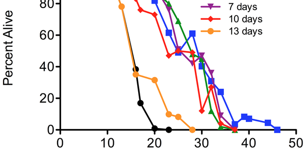 Article teaser image