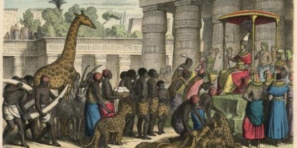 Article teaser image