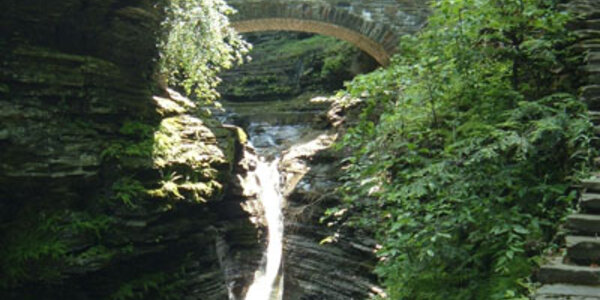 Article teaser image