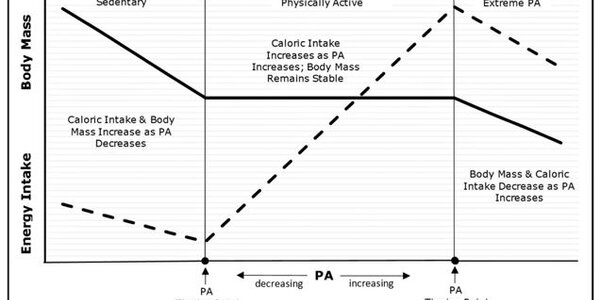 Article teaser image