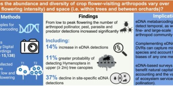 Article teaser image