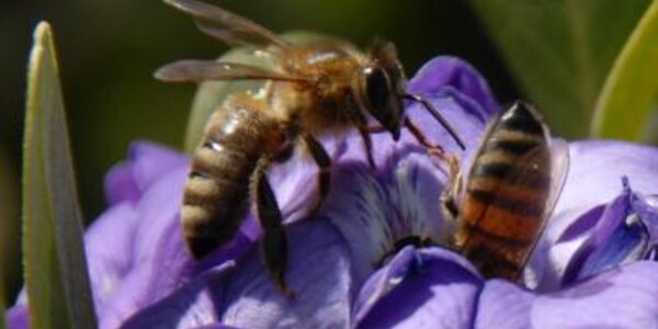 Article teaser image