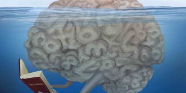 Article teaser image