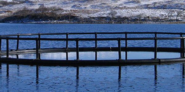 Article teaser image