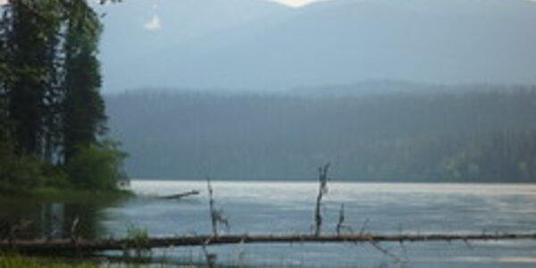 Article teaser image