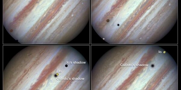 Article teaser image