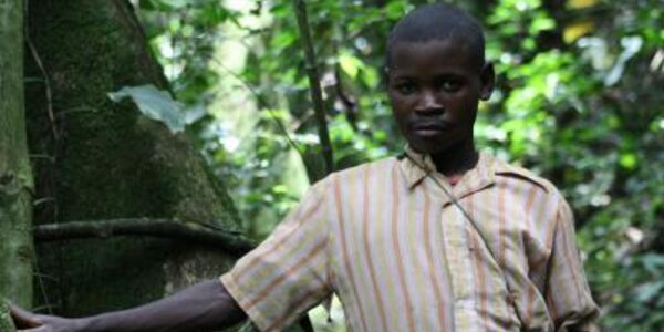 Article teaser image