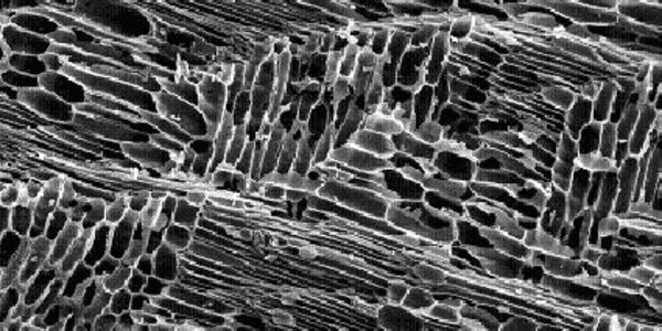 Article teaser image