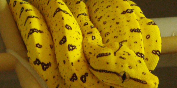 Article teaser image