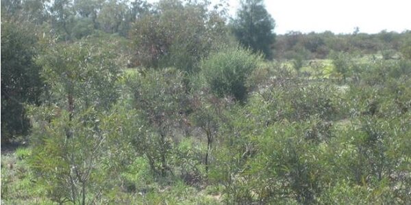 Article teaser image