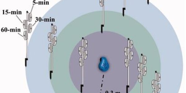 Article teaser image