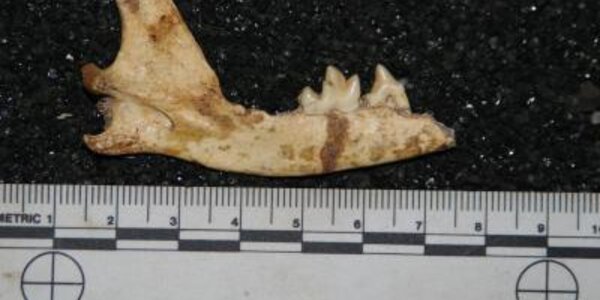 Article teaser image