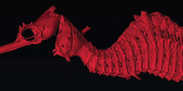 Article teaser image