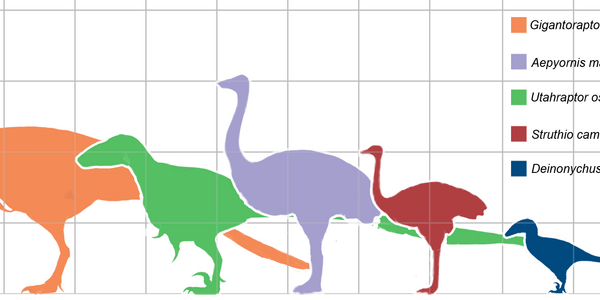 Article teaser image