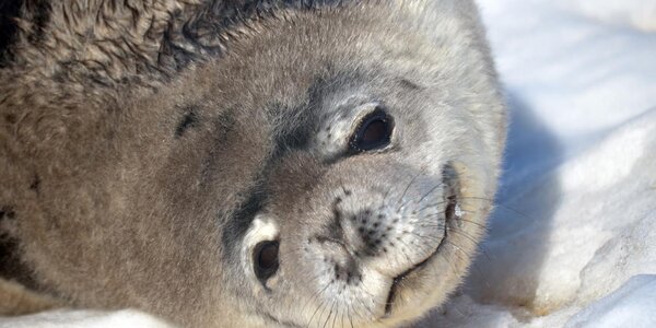 Article teaser image