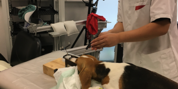 Article teaser image