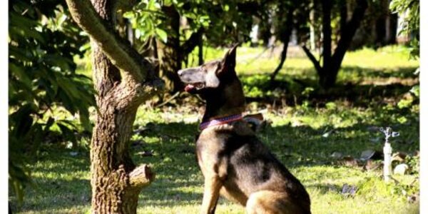 Article teaser image