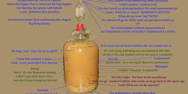 Article teaser image