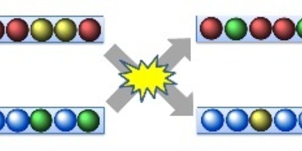 Article teaser image