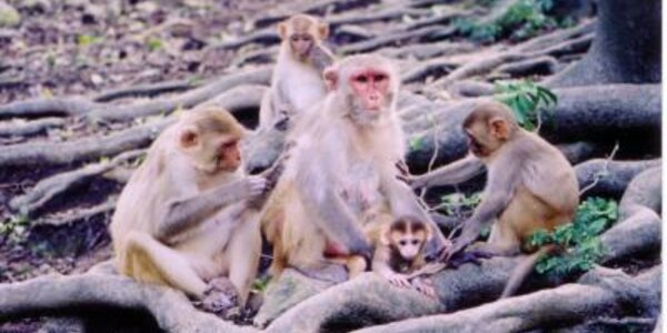 Article teaser image